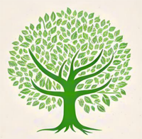 Mga Kakukuhaan han Kahoy