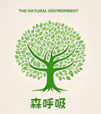 Mga Kakukuhaan han Kahoy